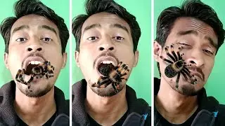 Ultimate Selfie Photo & Video Maker, Face Changer Video & Live Selfie Filters