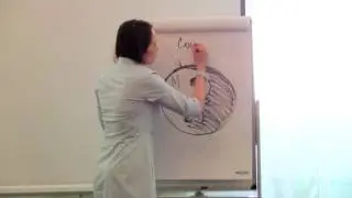 Эффективные коммуникации в семье. Роль женщины и роль мужчины в семье
