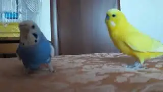 Гуляли, искали и что то нашли