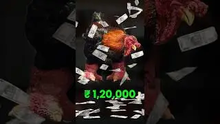 Bade Or Mote Milenge sirf 1 Lakh Rupay Mein 😂 By Mr.FactCity #shorts