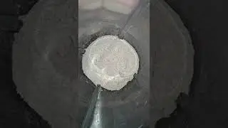 My protein shake