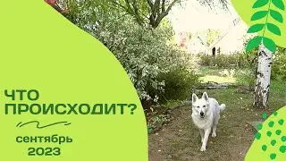 Неурожаи и плоды трудов...Что происходит на даче