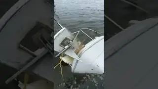 My Boat Sunk from a Rain Storm in Philadelphia