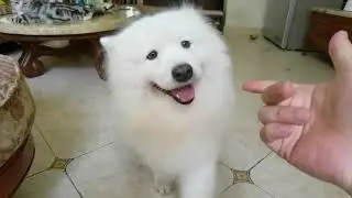 应该送你去读中戏才对呀！