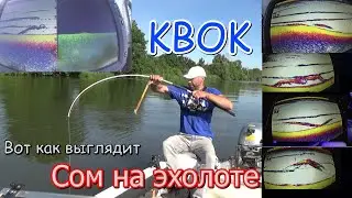 Fishing on a kwok. Night rises of catfish on the echo sounder lowrance. Lowrance Elite 9ti2