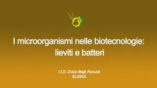 I Microorganismi nelle biotecnologie: lieviti e batteri