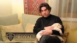 08. ПРИЈАТЕЛИ | Лабрадор Ретривер и Лавови