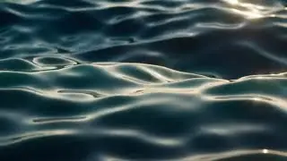 Clossal - Something else | music