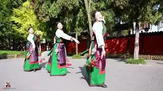 西藏牧女版《故乡情》Tibetan Shepherd's version of 