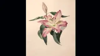 Цветы