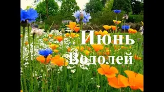 ВОДОЛЕЙ.  ИЮНЬ  2023. ТАРО ПРОГНОЗ.  Татьяна Шаманова