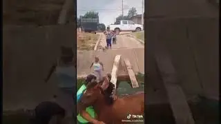 mi caballo no se lo lleven