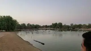 DUBAI AL QUDRA lake dubai