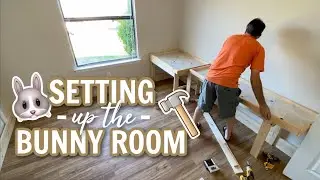 Setting up the NEW bunny room!