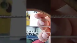 My Heart will go on Fingerstyle