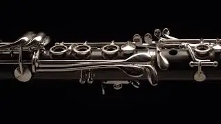 Кларнет Bb Amati Concerto ACL-321 от ателье Доценко и Ко.
