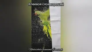 Выпуск 2037/Зелёный попугай/Алмазная мозаика/Процесс/