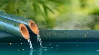 Si Escucha 5 Minutos Relájate Con Los Sonidos Del Agua, Poder del Cerebro,Estimular la Creatividad