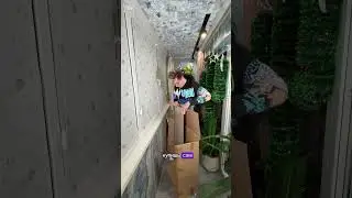 А как вам такой подарок
