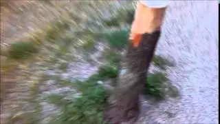 Weg. Mit dir!