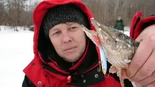 Рыбалка в устье реки Нюжма (