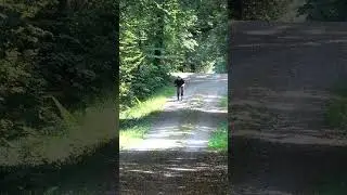 Forest crossing with off-road inline skates