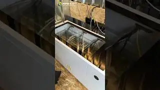 6 Asics Running Smoothly in Immersion Cooling Kit C6