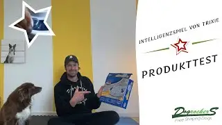 Wir testen ein Beschäftigungsspiel für Hunde von Trixie