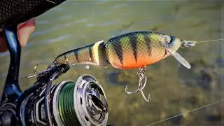 Suspending Jointed JerkBait | One Day Build to Catch