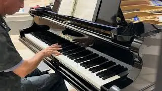 Chopin’s Nocturne opus posthumous in C♯ Minor