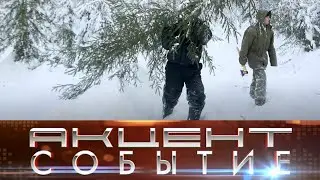 Как законно срубить в лесу живую елку?
