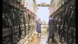 «Крестьянская застава», эфир 11 сентября 2011 г