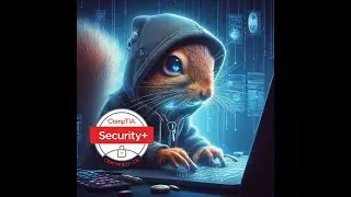 Script Kiddie Squirrel attempts the Comptia SY0-701 Practice Exam