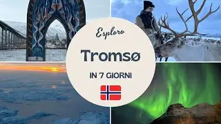 NORTHERN LIGHTS in Tromsø: what to see and do in 7 days (+MAP)