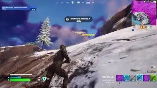 Fortnight