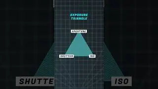 Camera Basics - ISO 