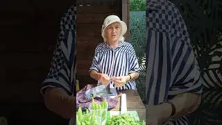 ⚡БАБУШКА В ШОКЕ ОТ НАГЛОСТИ БЛОГЕРА ⚡