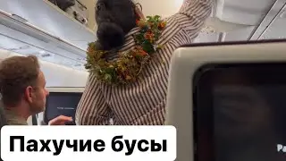 Возвращаюсь в Россию. Qatar Airways.