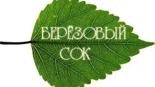 Березовый сок. Как правильно собирать березовый сок!