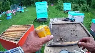 Что бы ваш рой не улетел,делаем так