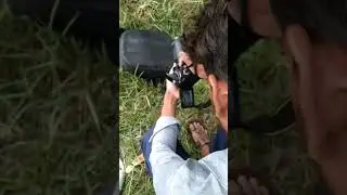 #short