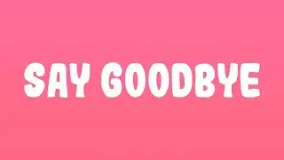 Chris Brown - Say Goodbye