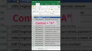 Shortcut to Apply and remove filter in excel-1