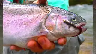 Cardiac Mountain Outfitters on the Meramec