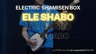 Electric shamisen