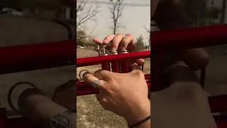 La Canción - J Balvin - Bad bunny - En Trompeta🎺🎶 tiktok nahuel.musico