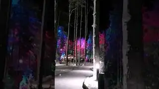 26 января 2023 г.