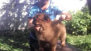 TRIM 20180826 1419291