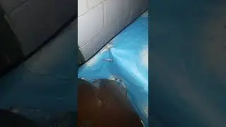 Отсутствует свет в прачечной