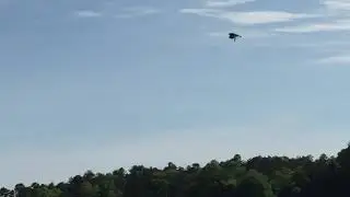 Bird Watching 101 (Nature Video #1)